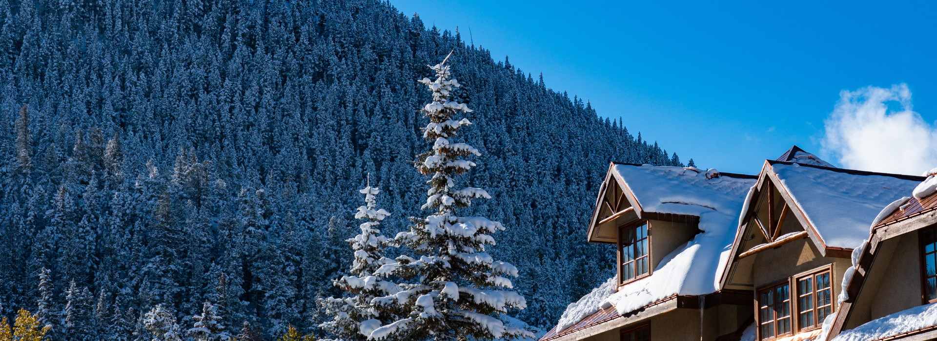 Banff Caribou Lodge & Spa